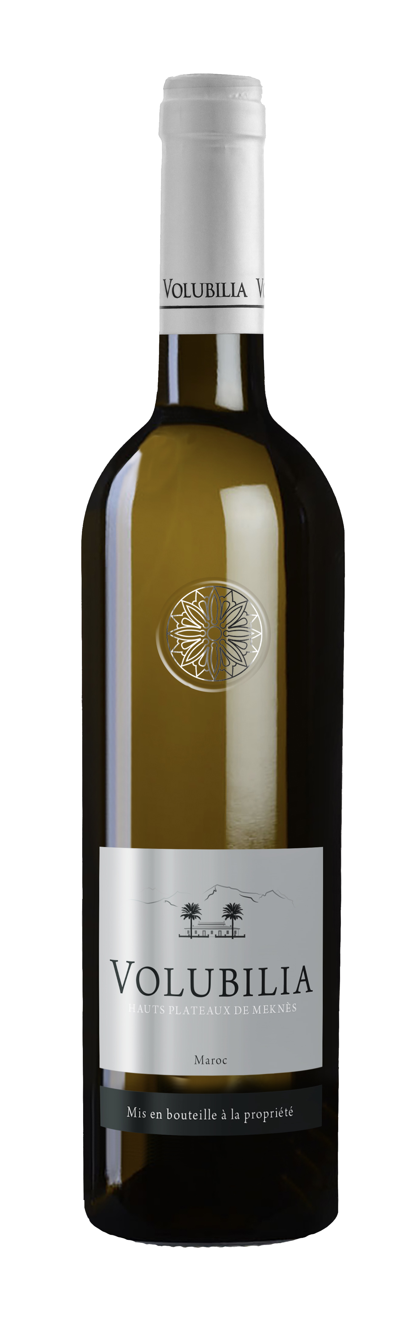 volubilia blanc 